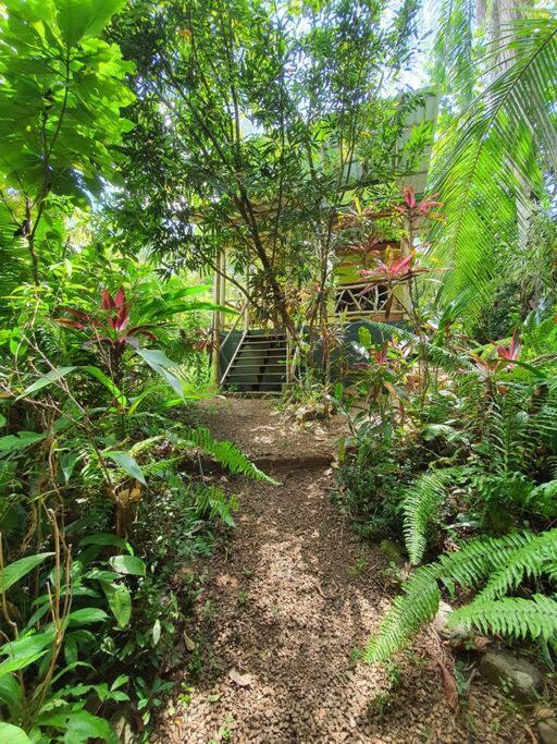 Cabina Gan Eden - Walking Distance From River Portalon Екстер'єр фото